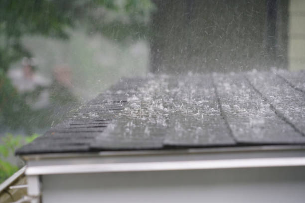 Best Storm Damage Roof Repair  in Colorado City, AZ